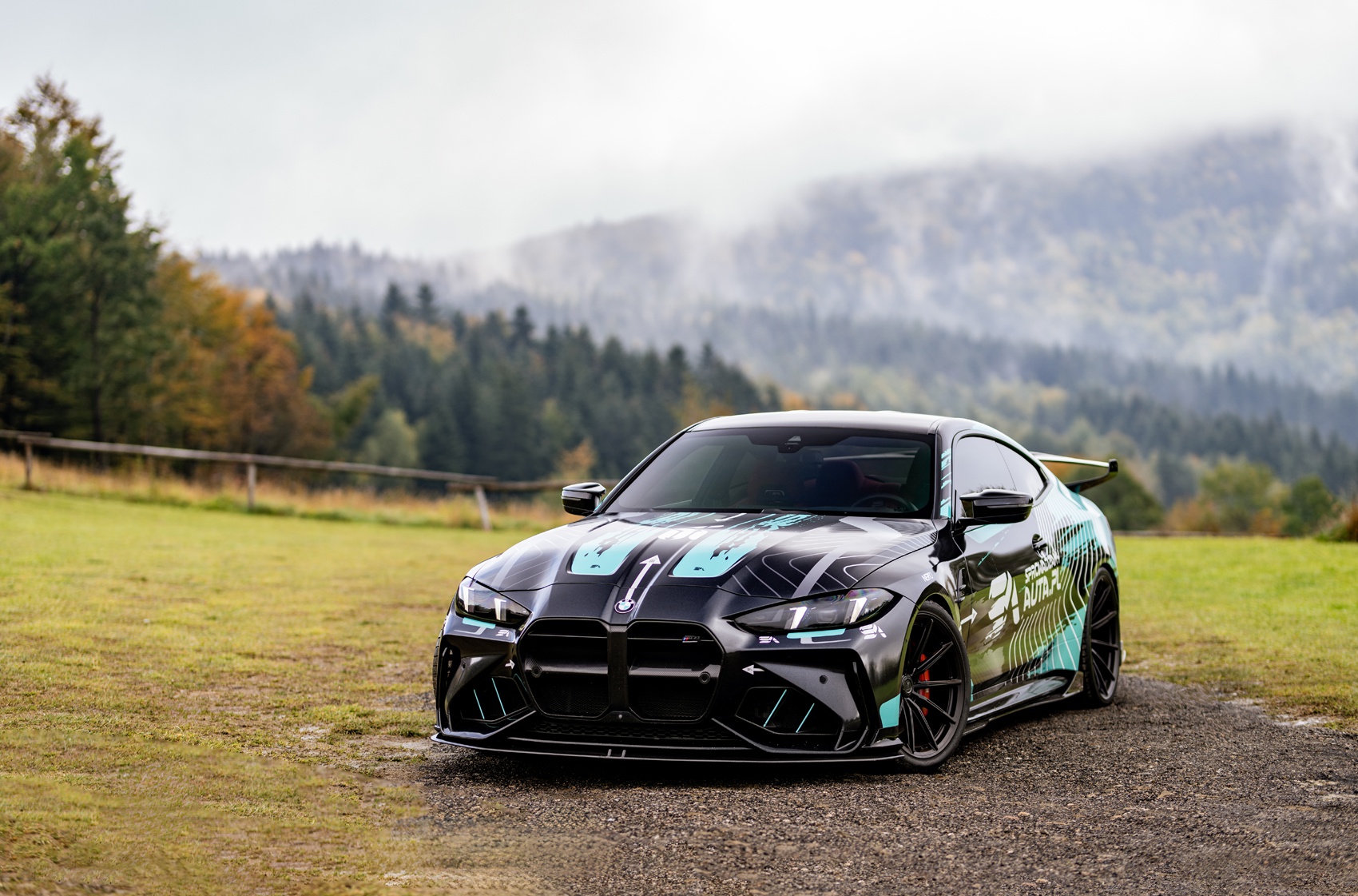 BMW 4 Series / M4's gallery