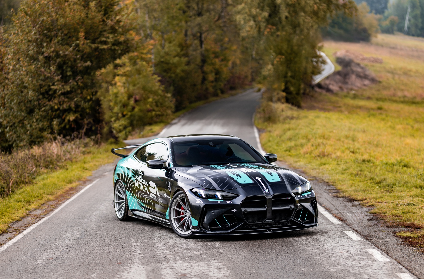 BMW 4 Series / M4's gallery