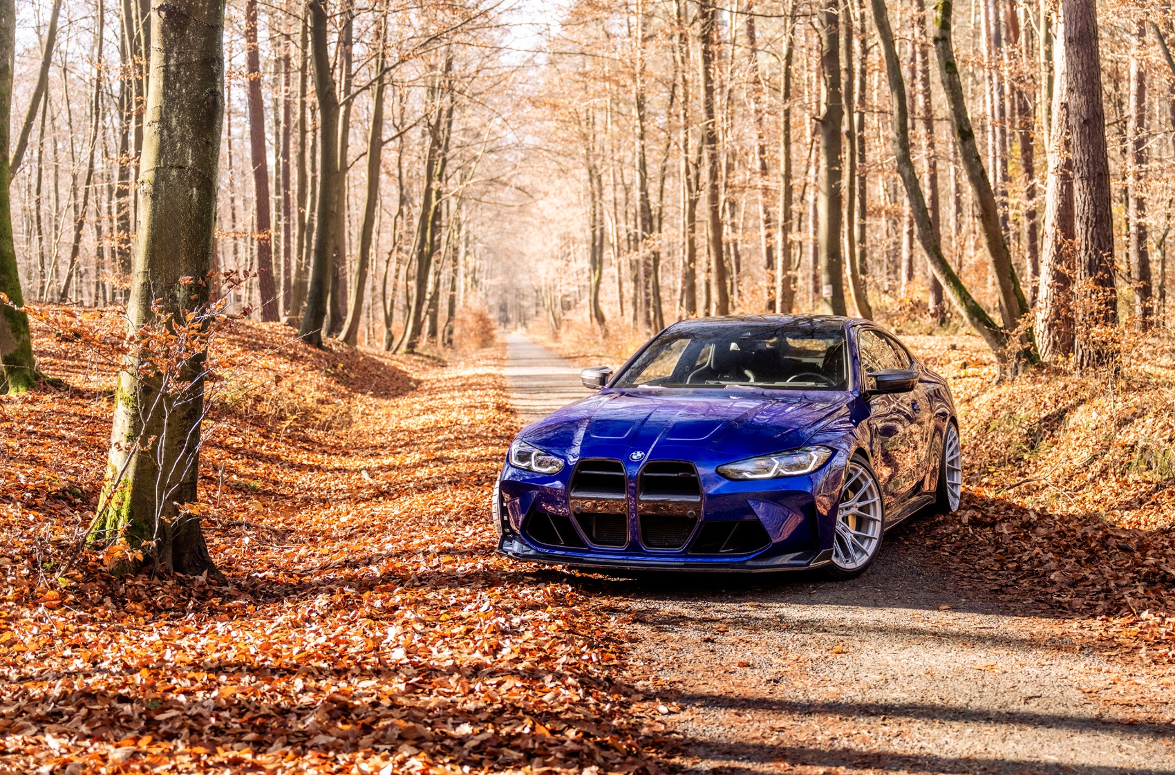 BMW 4 Series / M4's gallery